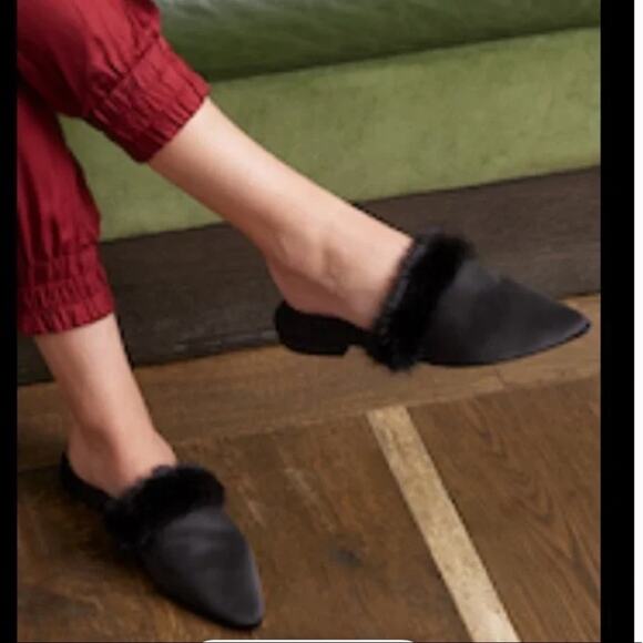 Birdies the dove slides - Picture 3 of 8